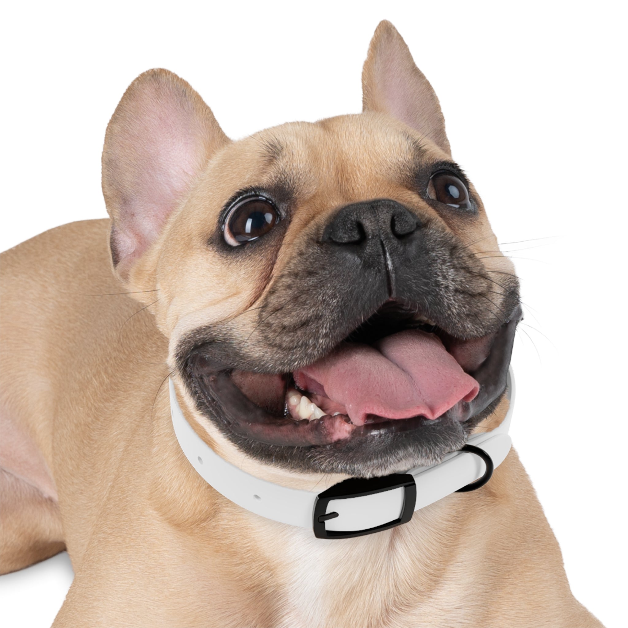 Personalized Dog Collar with Unique Design, Custom Pet Accessory, Dog Tag Holder, Ideal Gift for Pet Lovers, Stylish Canine Fashion, [...]