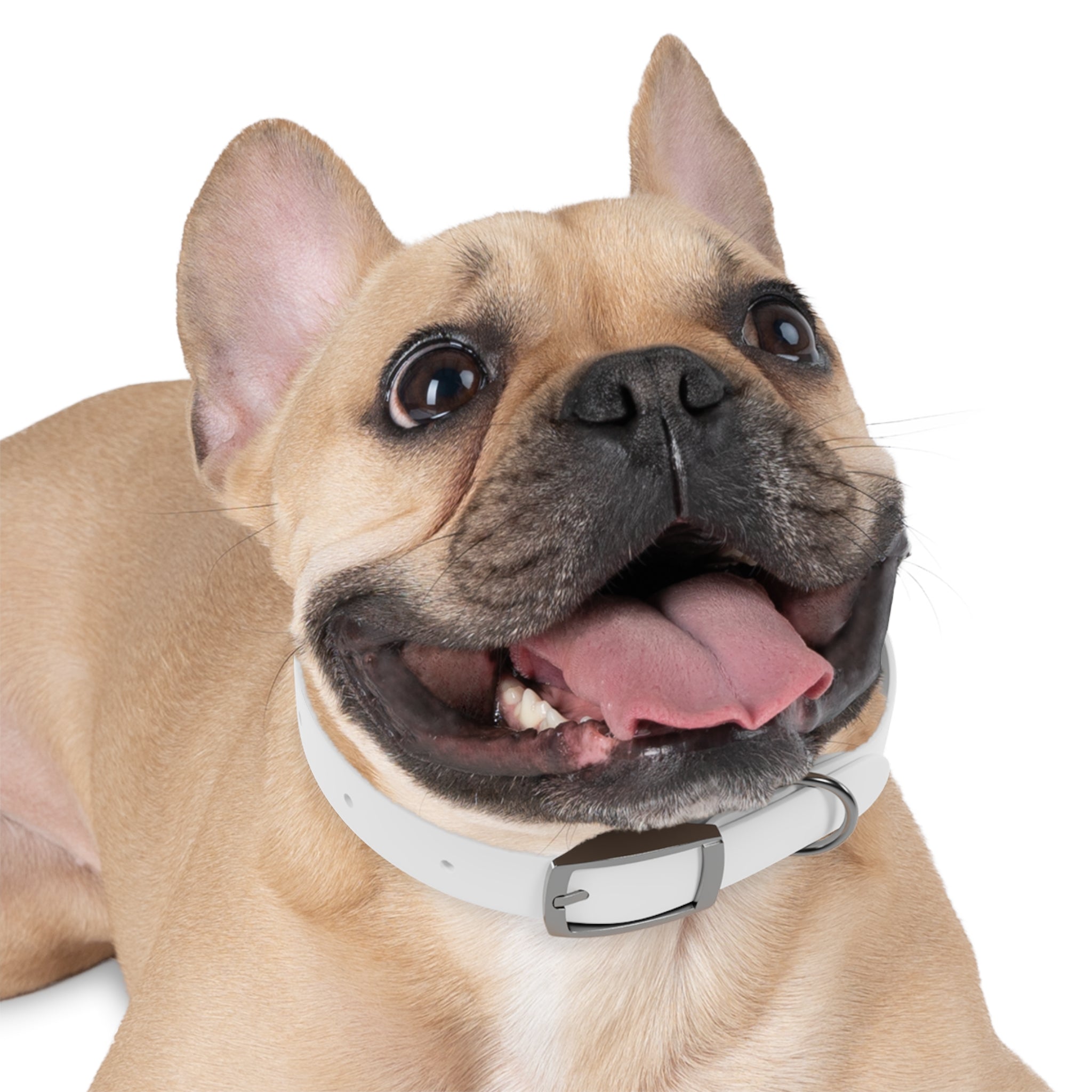 Personalized Dog Collar with Unique Design, Custom Pet Accessory, Dog Tag Holder, Ideal Gift for Pet Lovers, Stylish Canine Fashion, [...]