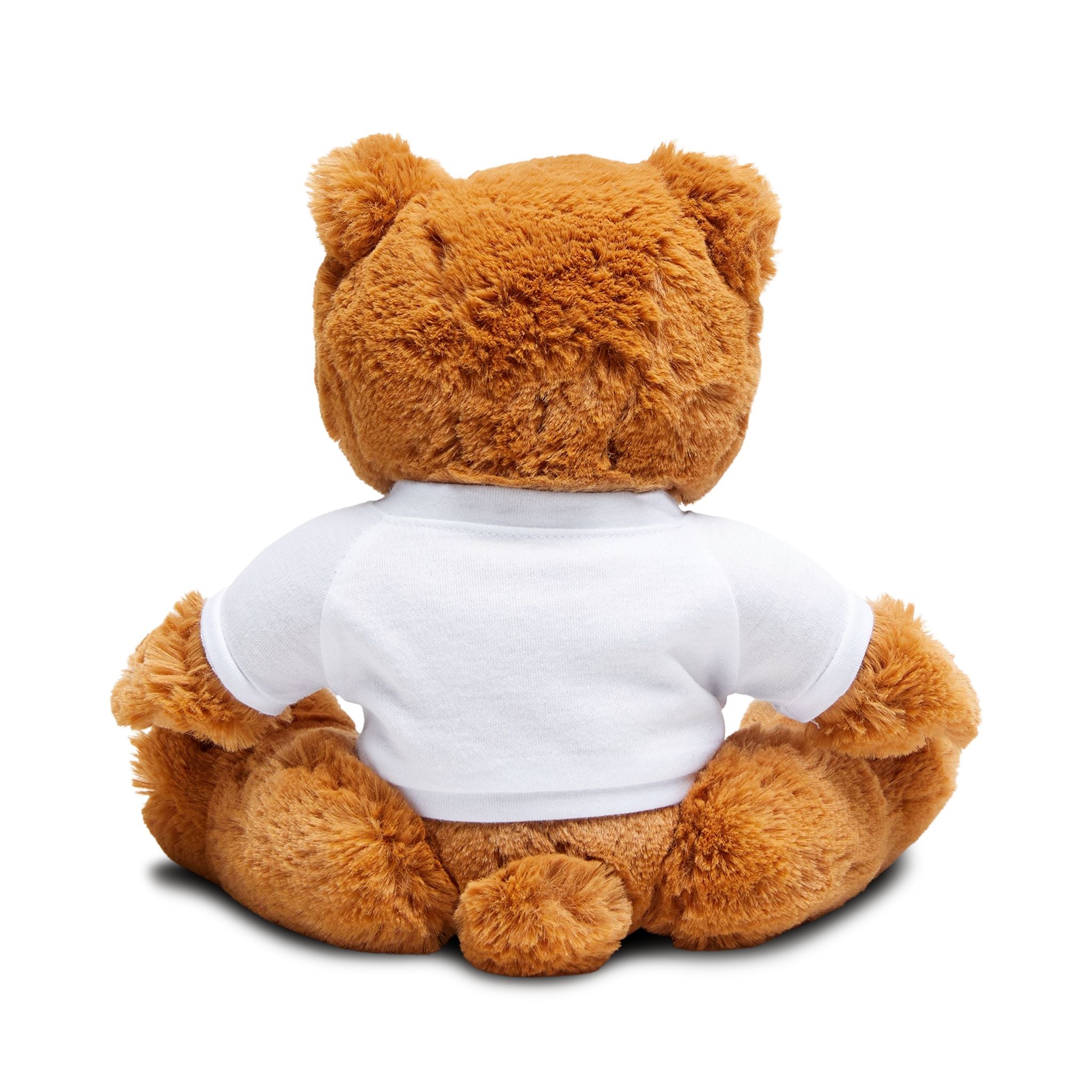 Adorable Personalized Teddy Bear with Custom T-Shirt, Perfect Gift for Kids and Collectors, Birthday, Baby Shower, Cuddle Buddy